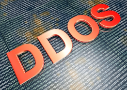 Distributed Denial of Service (DDoS)